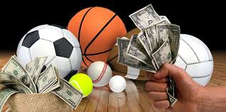 Everything You Need to Know About Viva Bet 1