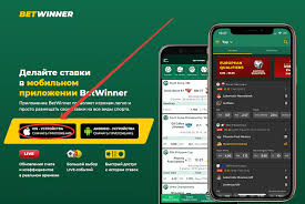 The Evolution of Sports Betting Trends and Techniques in 2023 The Evolution of Sports Betting Trends and Techniques in 2023