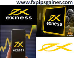 Understanding the Exness MT4 Platform A Comprehensive Guide